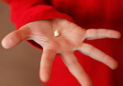 Knocked out tooth in hand